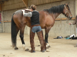massage arm mlrosteo