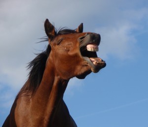 baillement mlrosteo